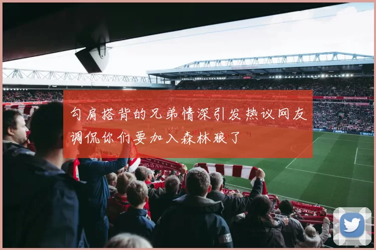 勾肩搭背的兄弟情深引发热议网友调侃你们要加入森林狼了